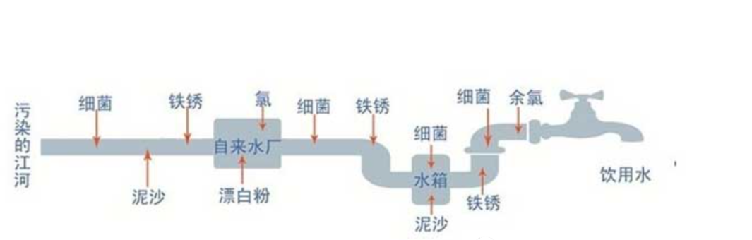 自来水中为什么要添加氯？